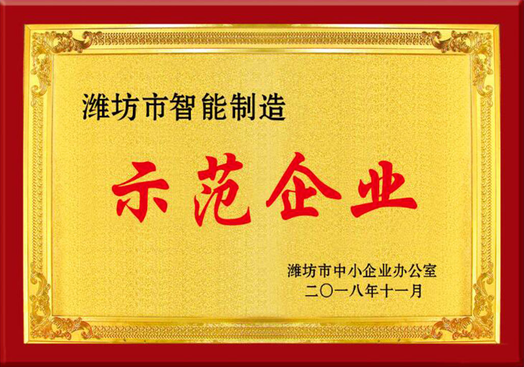 濰(wei)坊市(shi)智能(neng)制造(zao)示範(fan)企業(ye)