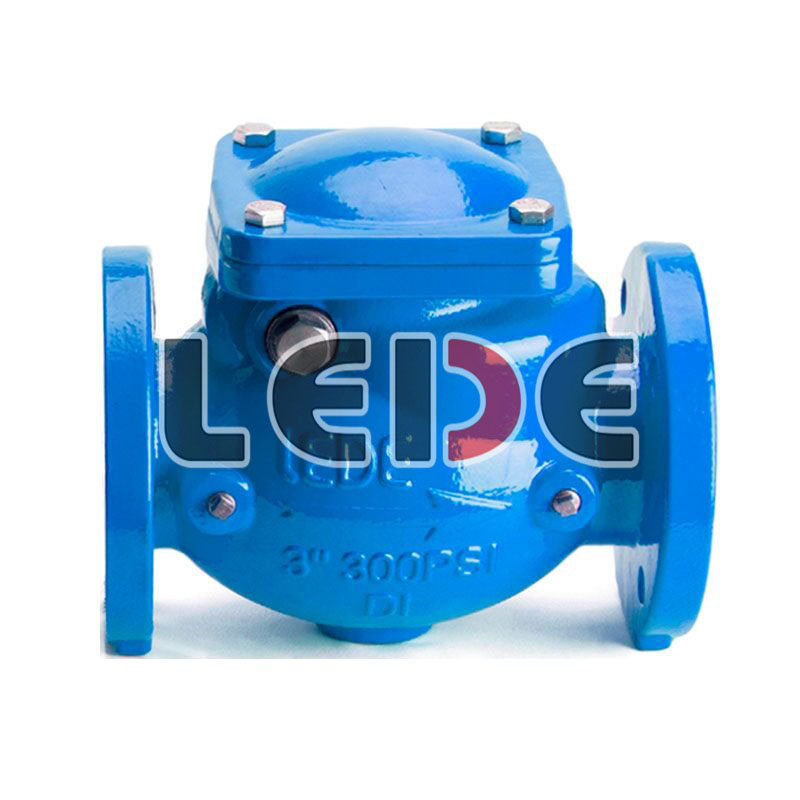 法(fa)蘭旋啟(qi)式止回(hui)閥