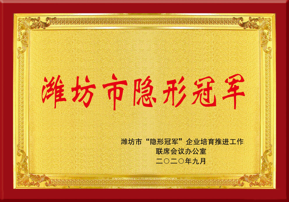 濰坊(fang)市隐(yin)形冠(guan)軍